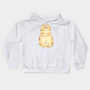 Fluffy cat Kids Hoodie